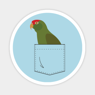 Cherry Head Conure Parrot In Your Front Pocket Magnet